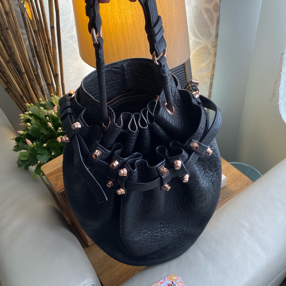 Alexander Wang Diego-price firm